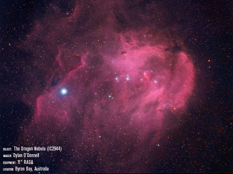 CGX 1100 ROWE-ACKERMANN SCHMIDT ASTROGRAPH (RASA) EQUATORIAL TELESCOPE กล้องดูดาวผสม อิเควตอเรียล ระบบอัตโนมัติ - Image 7